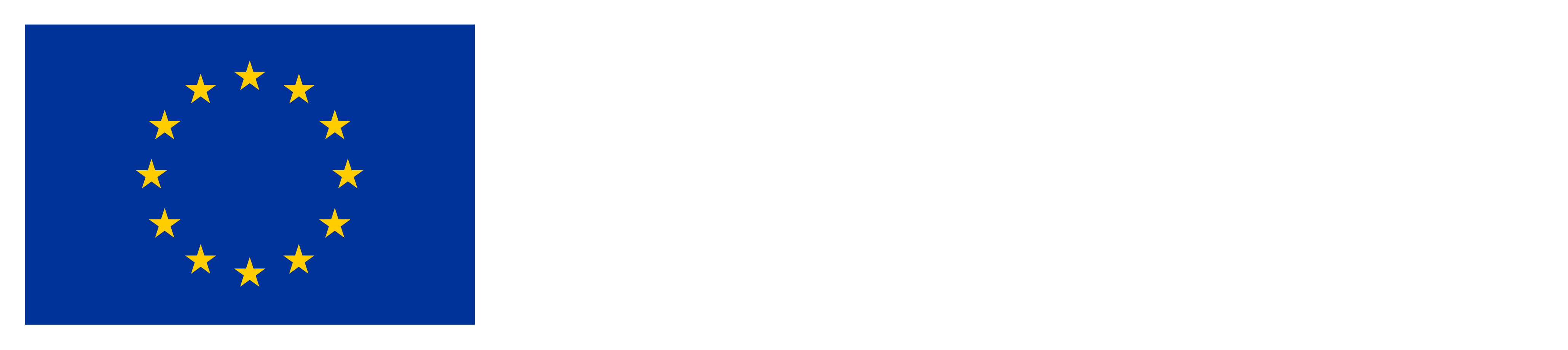 European Union logo